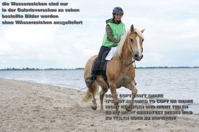 s_K3F05011.JPG